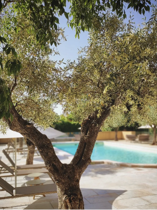 Les<br>coffrets Les<br>coffrets